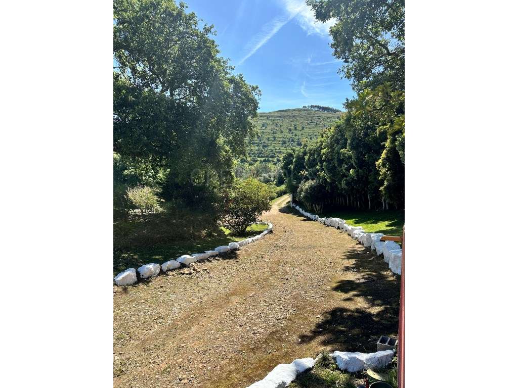 Quinta - Quintinha - Moradia-7