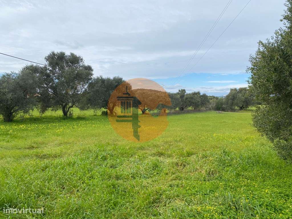 Terreno Rústico - Grande imagem: 2/15