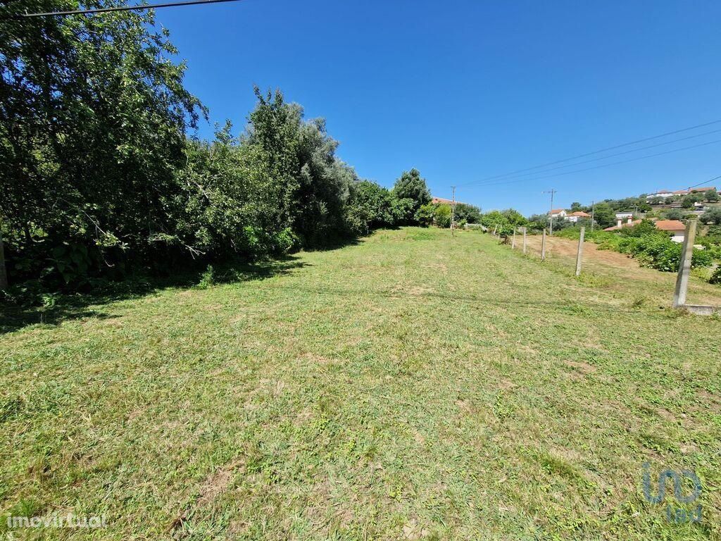 Terreno Agrícola em Viana do Castelo de 917,00 m2