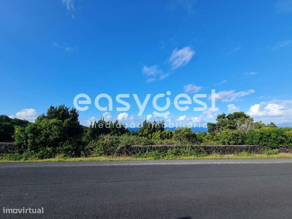 Terreno com possibilidade de construção nas Bandeiras, ilha do Pico - Grande imagem: 5/24