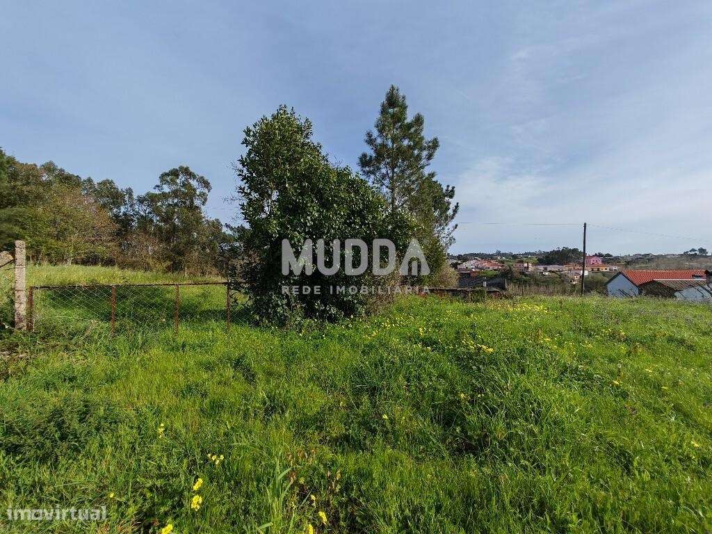 Terreno rústico para construção, em são João de Loure e Frossos, Alber - Grande imagem: 3/6