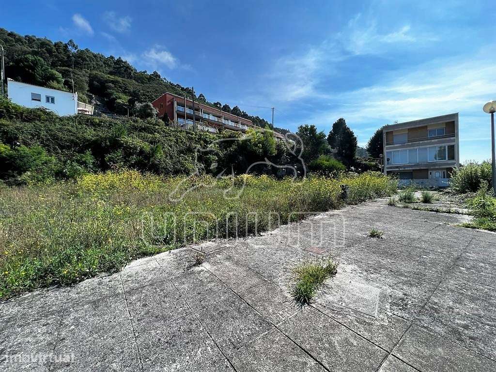 Lote Areosa - Grande imagem: 2/5