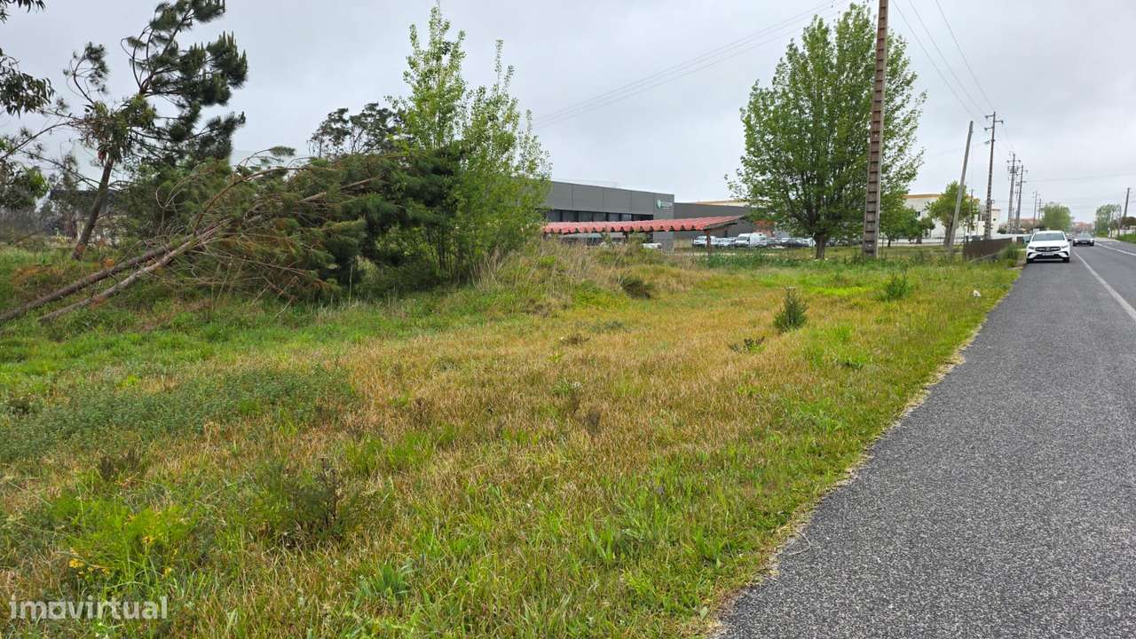 Terreno rústico de 7600m² de área, em Moita Marinha Grande-7