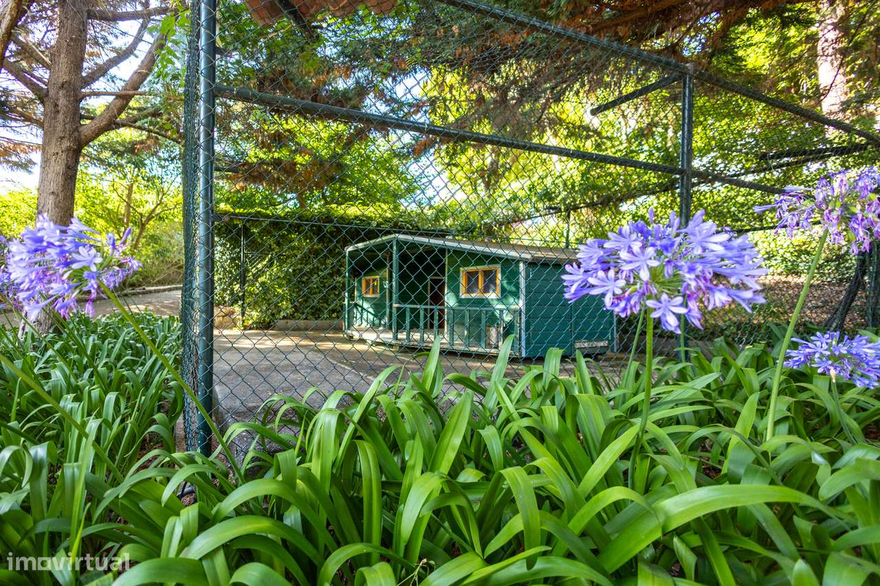 Timeless Elegance  - Sintra-59