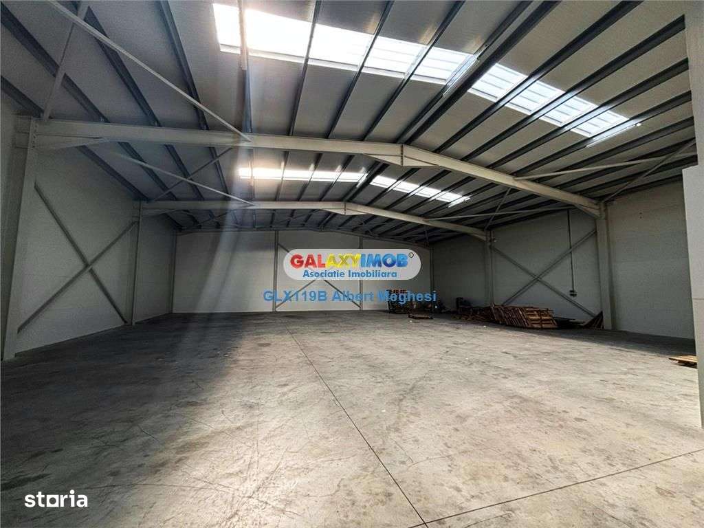 Inchiriere hala depozitare Parc Industrial TBM Rudeni - Imagine principală: 5/18