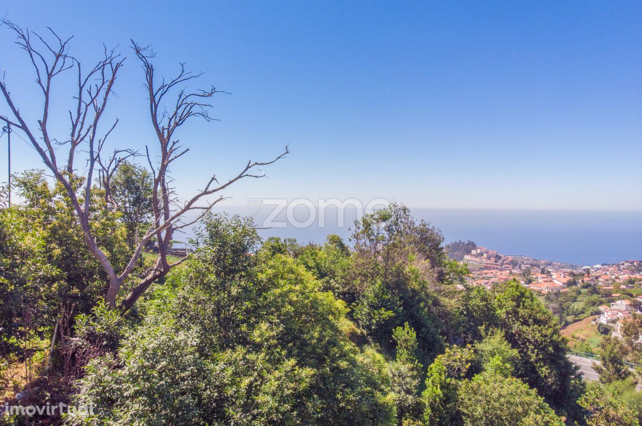 TEREENO LOCALIZADO NO FUNCHAL