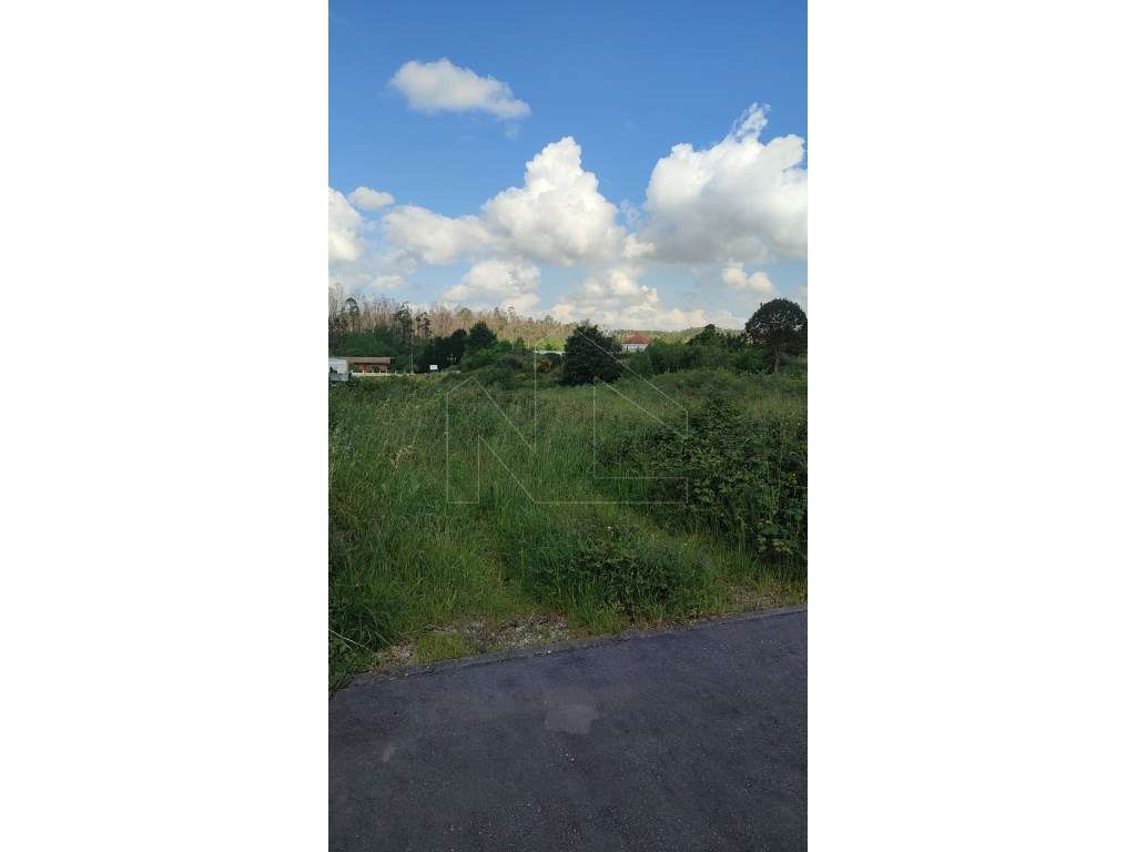 Terreno Urbano com 5.090 m² na Quinta de Assilhó - Albergaria-a-Velha - Grande imagem: 4/5