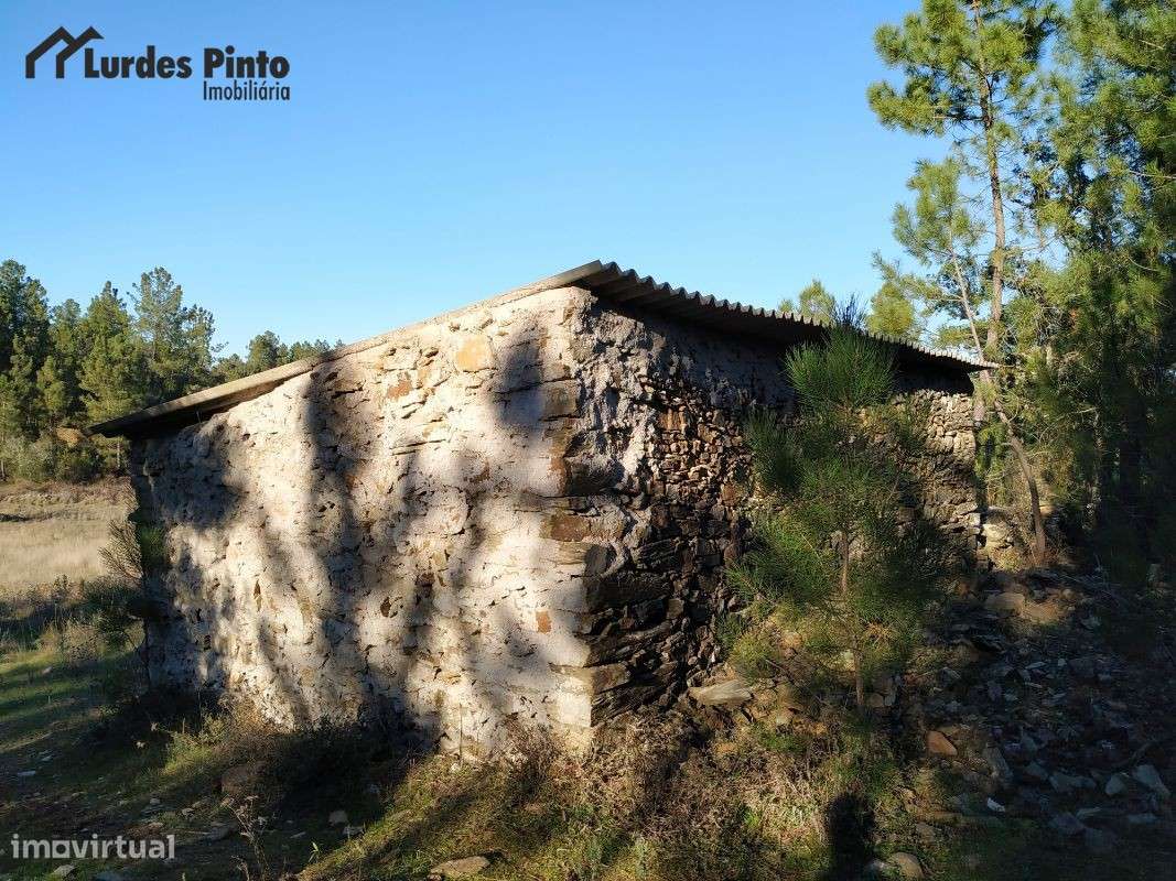 Quinta com arrecadação e muita água - Grande imagem: 5/15