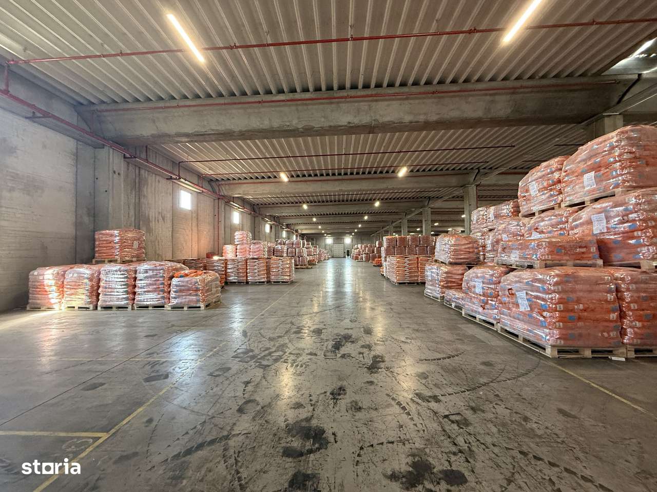 Hală industrială clasa A 5000 mp, Chitila-Dragomirești, teren 8.000 mp-8