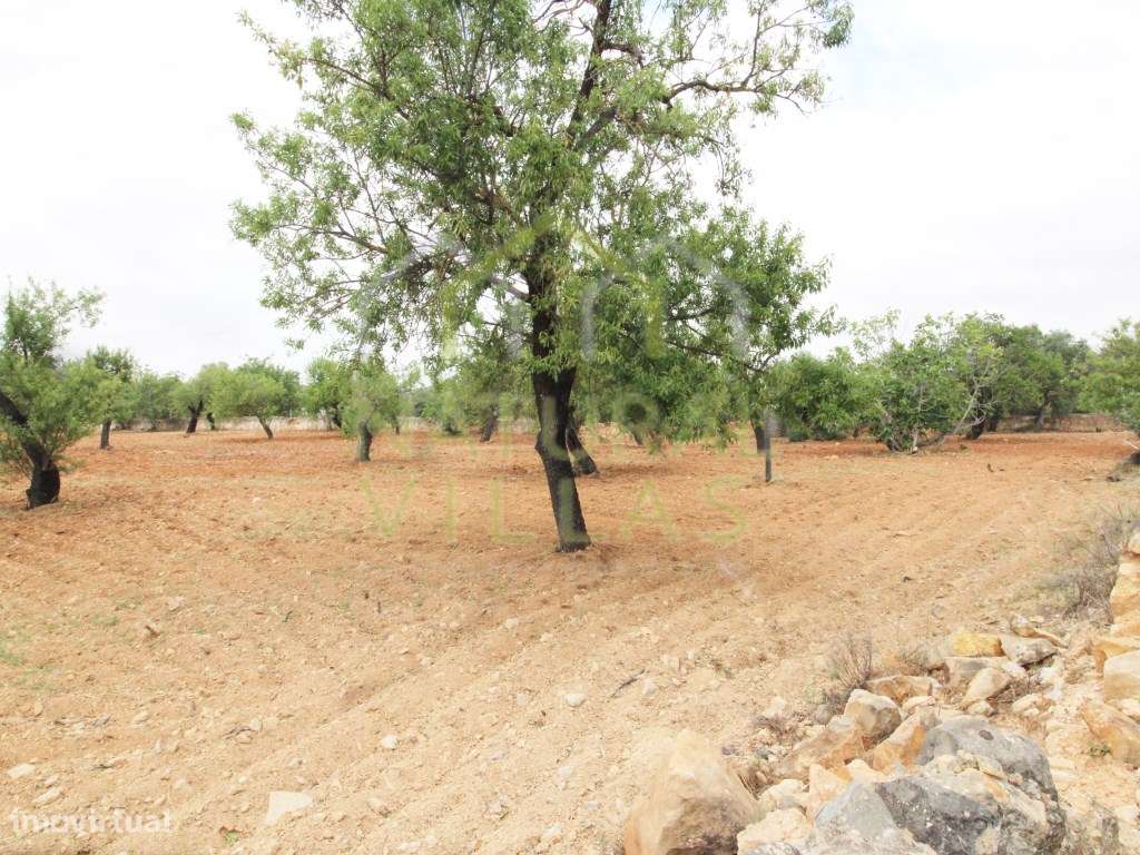 Terreno Urbano para construção em Estoi - Grande imagem: 3/3