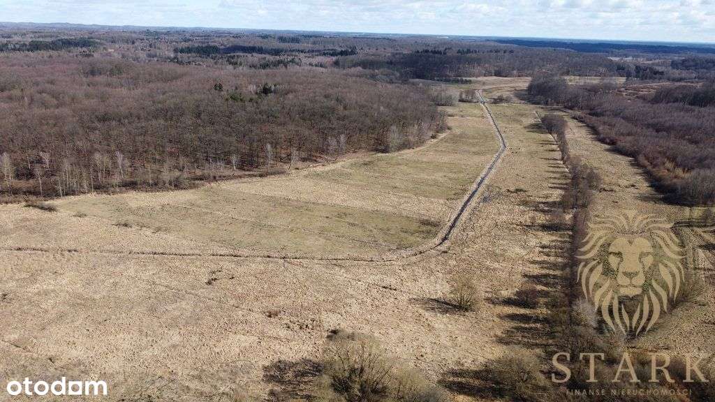 Działka rolna przy lesie, Kozy gm. Dobrzany - Pełny obrazek: 3/5
