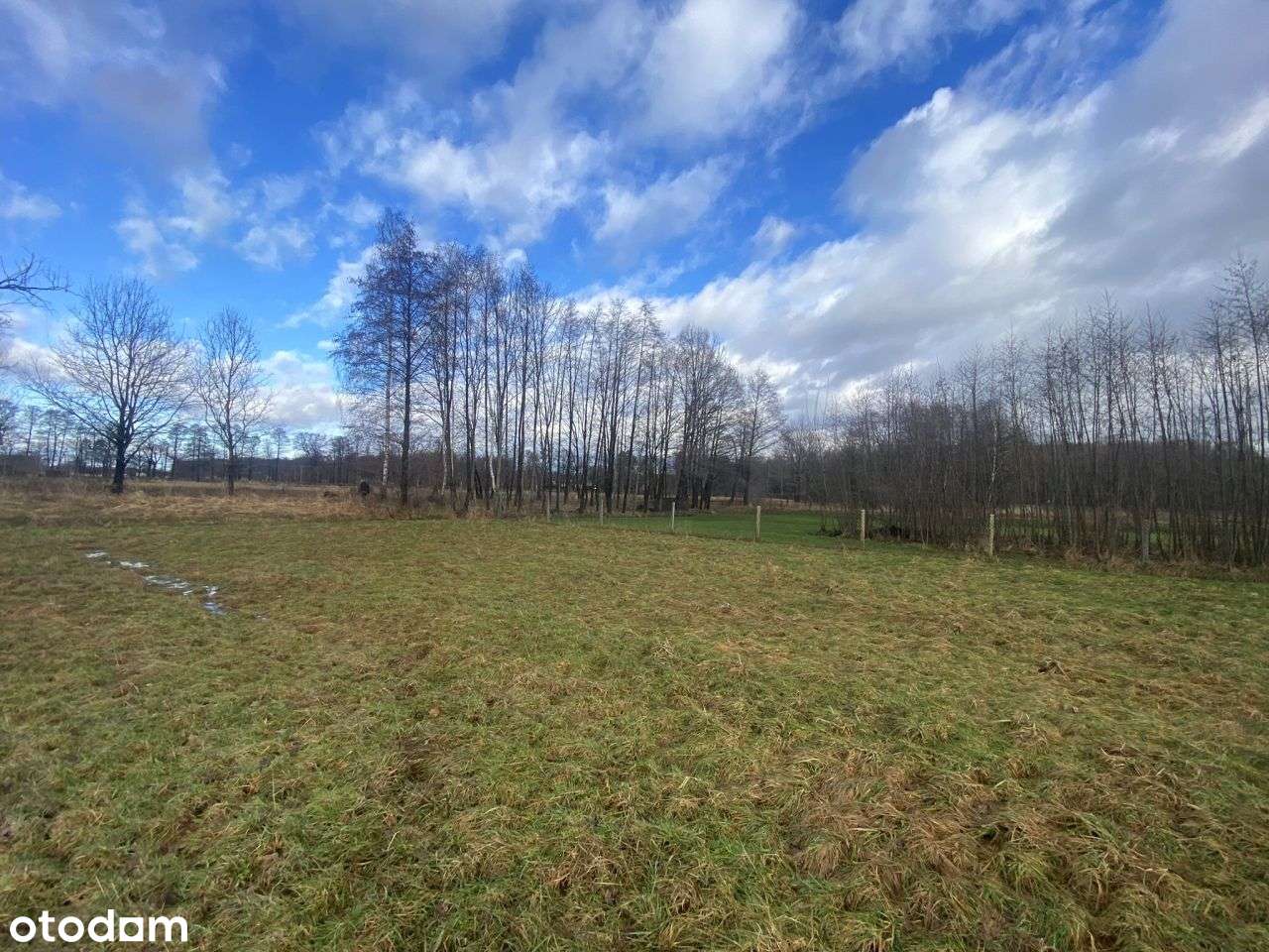 Kiczyce - działka bud 12 ar - Pełny obrazek: 5/14