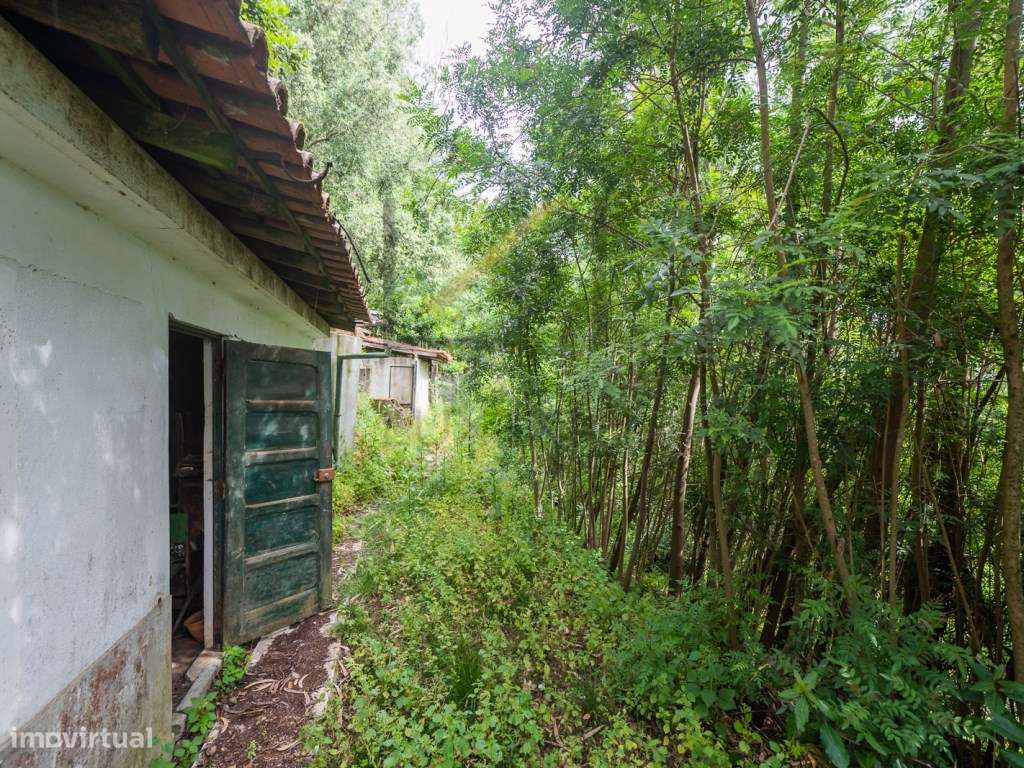Quinta de 1 ha com moradia de 260 m2-37