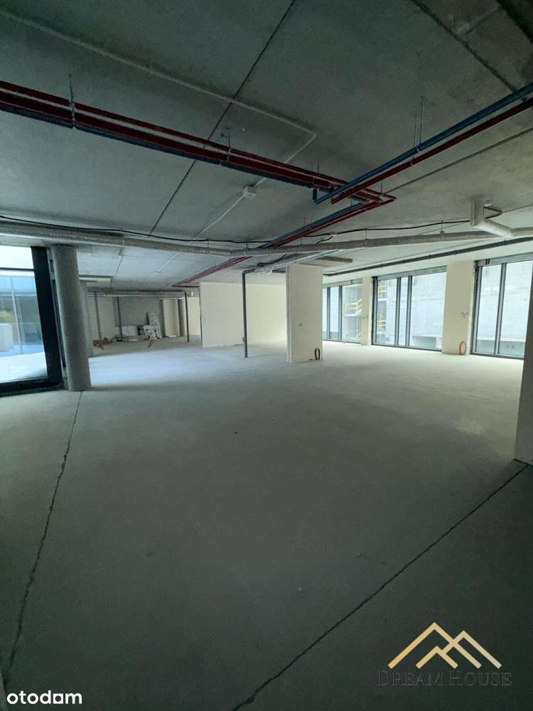 Idealny lokal pod przychodnie w świetnej lokalizac - Pełny obrazek: 5/18