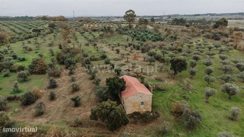 Quinta T1 / Fundão, Alpedrinha - Grande imagem: 5/20