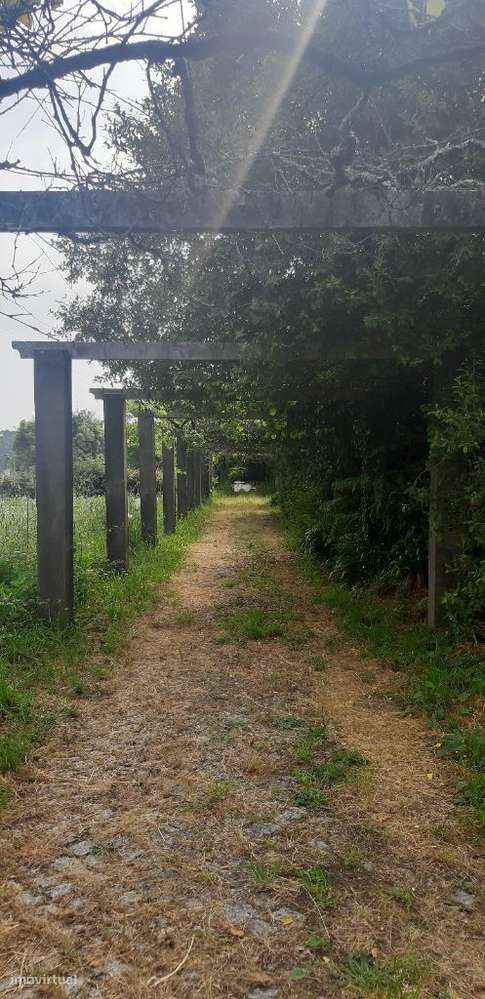 - Quinta c/casa 2 pisos , piscina e C/ terreno p/ novas construçõe-5