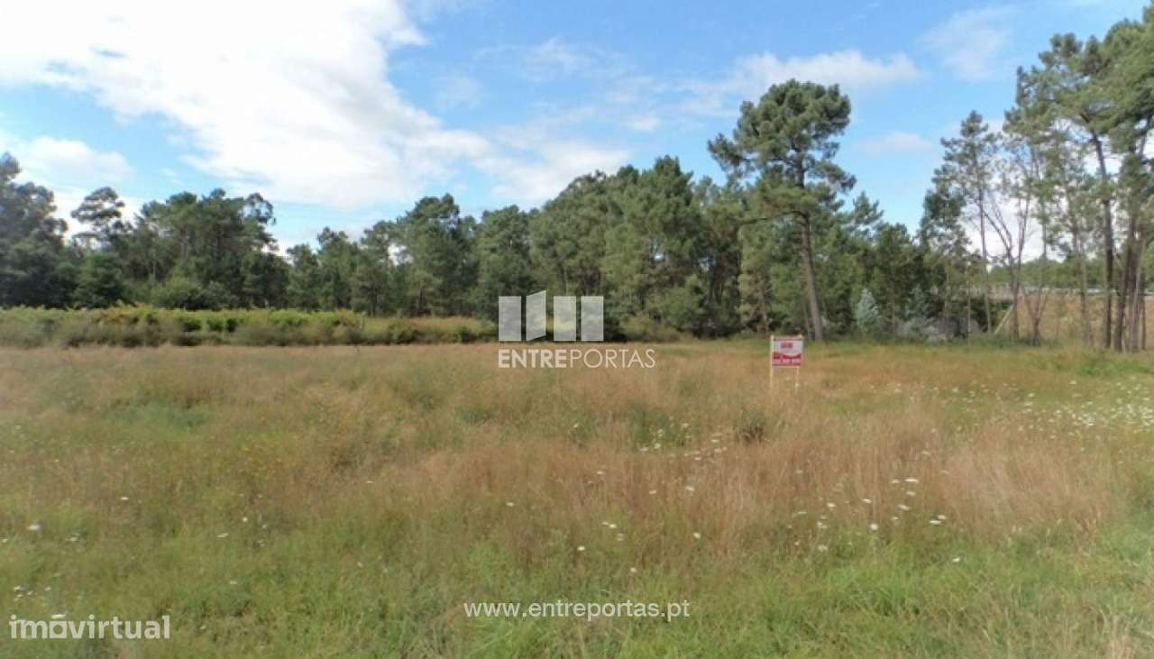 Venda de Terreno de construção, Vila Meã, Vila Nova de Cerceira. - Grande imagem: 2/7