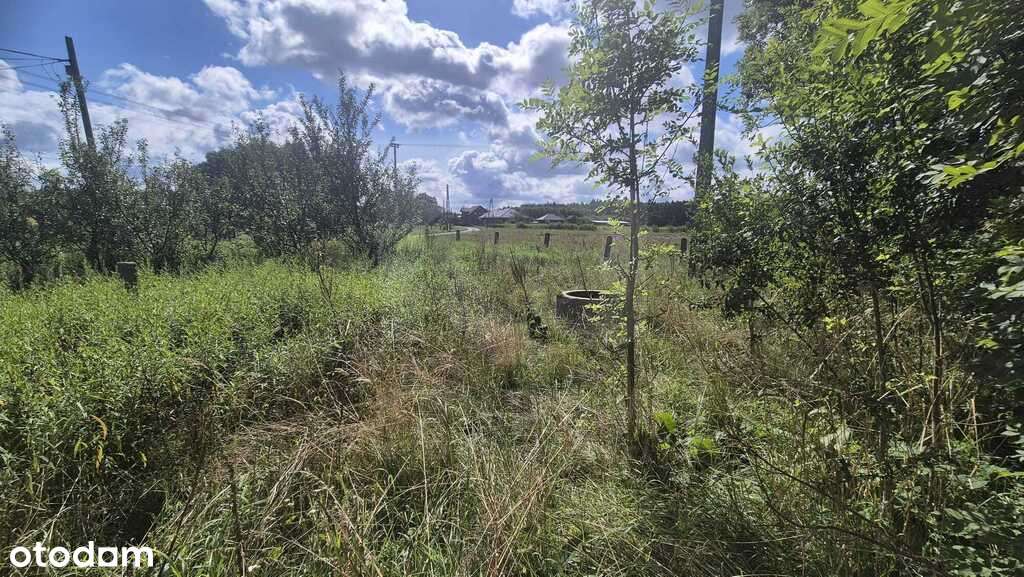 Dom do remontu na sprzedaż - Pełny obrazek: 4/8