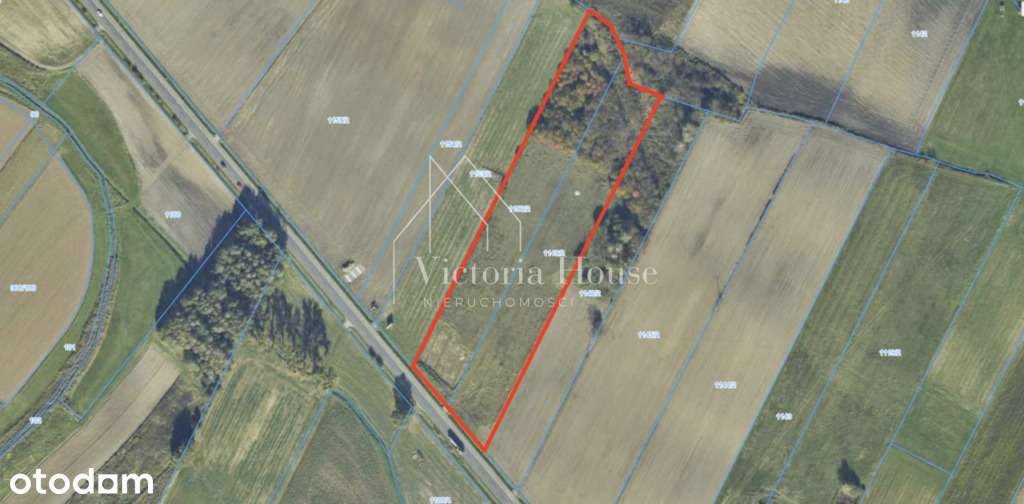 Działka PU, 1,9ha, Hala+biura, Pozwolenie na budow-0