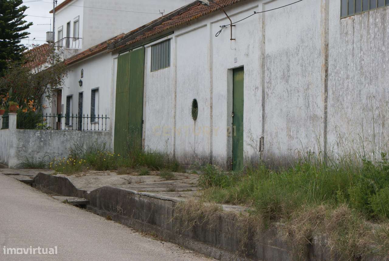 Espaçoso Térreo com Garagem em Localização Privilegiada-6