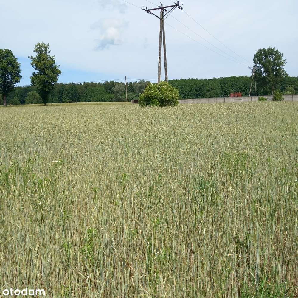 Działki 4km od miasta z kompl. mediów i utw. drogą-9
