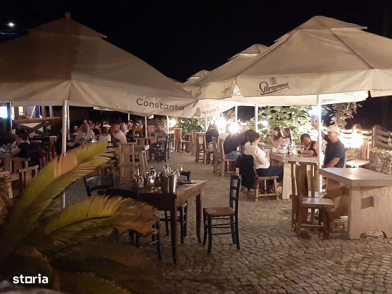 Spatiu comercial-Restaurant plaja salbatica Vadu-18