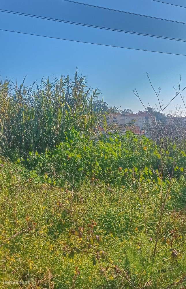 Terreno urbano para construção com área total de 257 m2 na Quinta do D - Grande imagem: 4/8