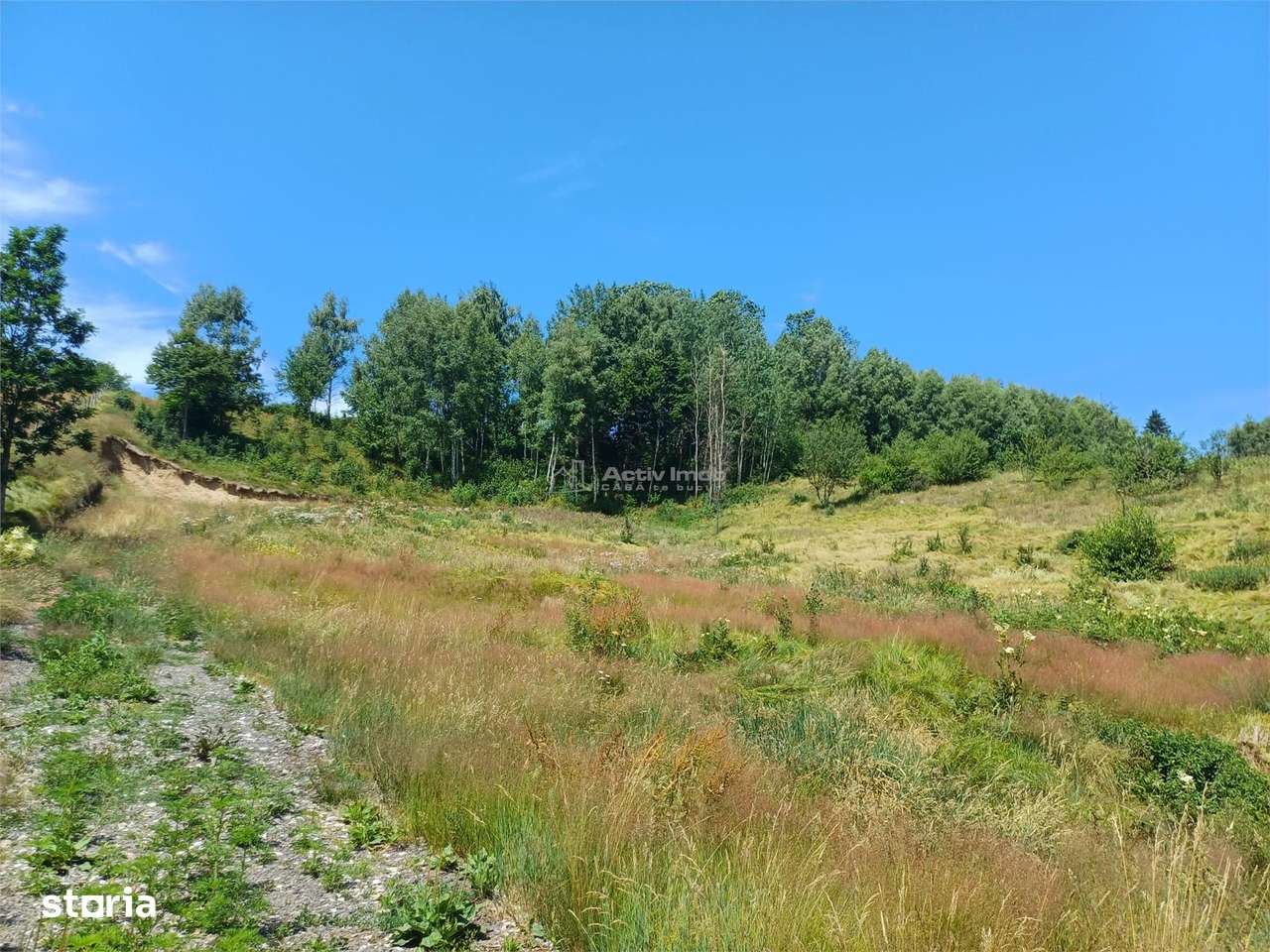 Teren Intravilan in zona Trei Ape, 6889 Mp., 14,5 EuroMp., Brebu Nou - Imagine principală: 5/14