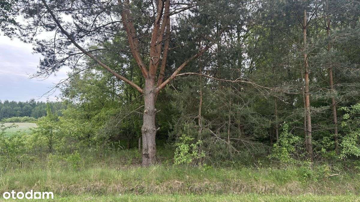 Działka w cichej i malowniczej okolicy-5