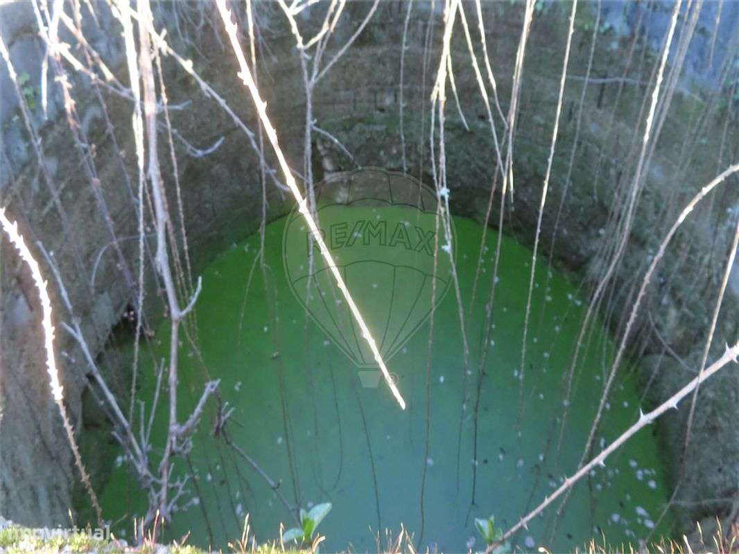 Quinta  para venda - Grande imagem: 3/21