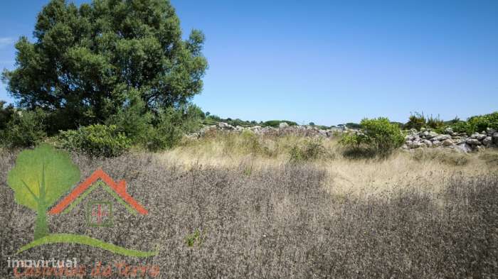 Terreno Rústico, perto de Bolelas - São João das Lampas-3