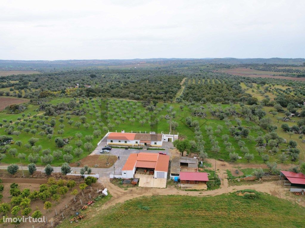 Herdade de 39 Hectares com Moradia V5 para venda em Monsa...