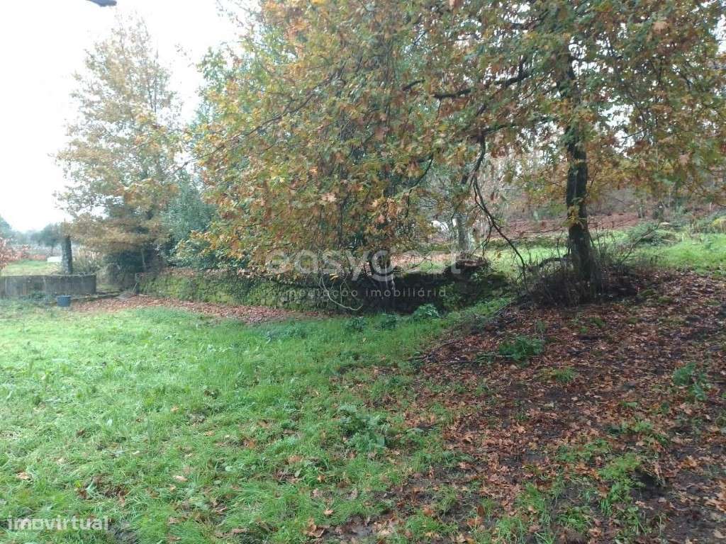Terreno com viabilidade de construção em Canas de Santa Maria, Tondela - Grande imagem: 3/18
