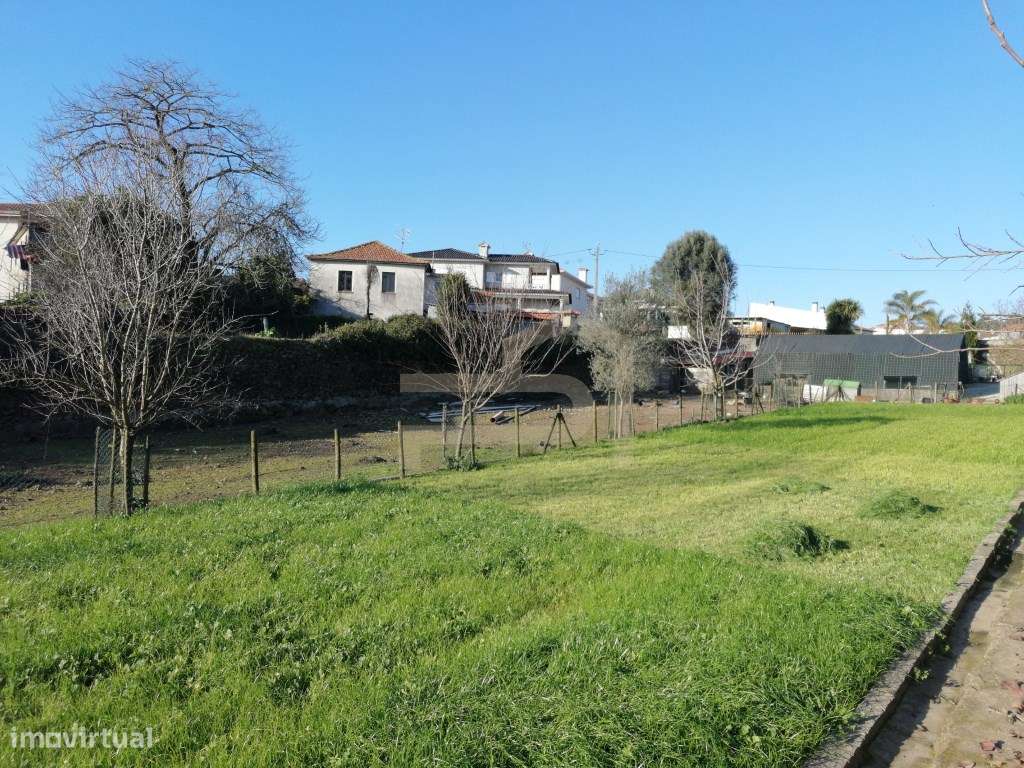 Terreno com 2.430 m² e Ruína em Ribeirão-9