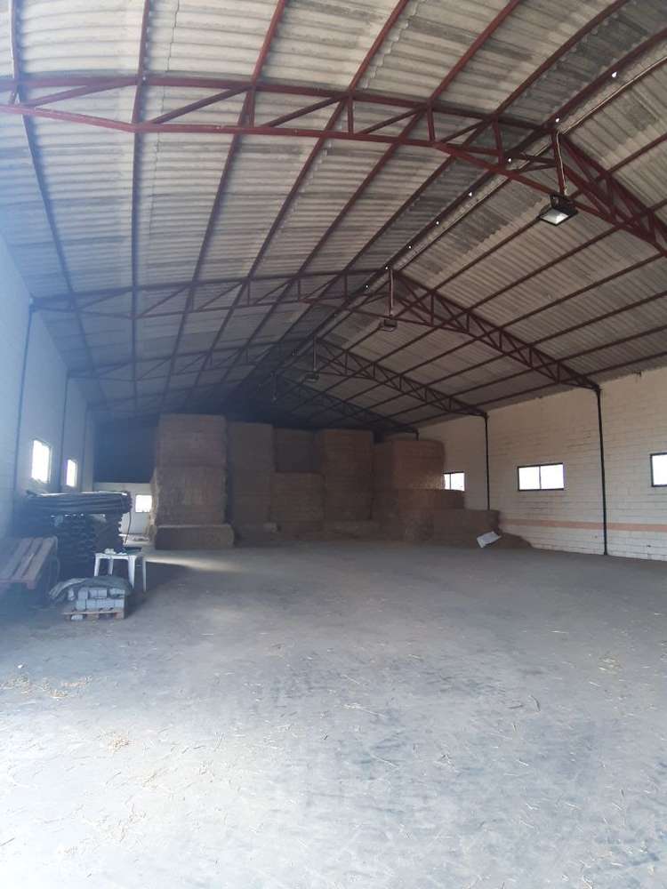 VENDA JUDICIAL I ARMAZÉM com terreno de 1.65 HECT-5