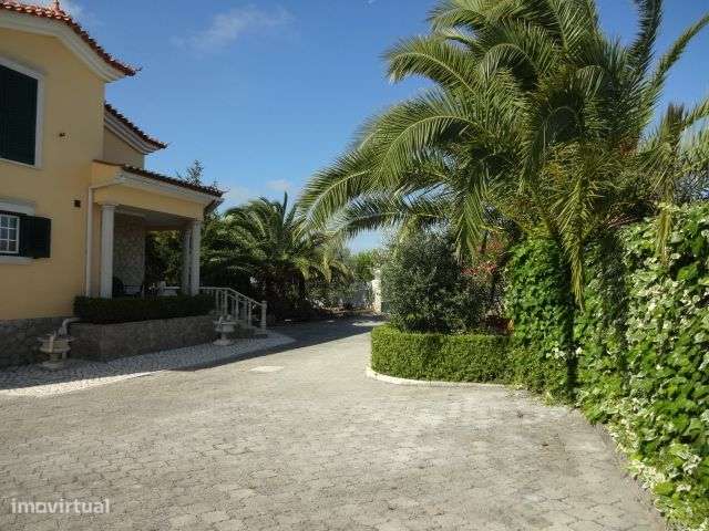 Quinta T/7 Cartaxo-22