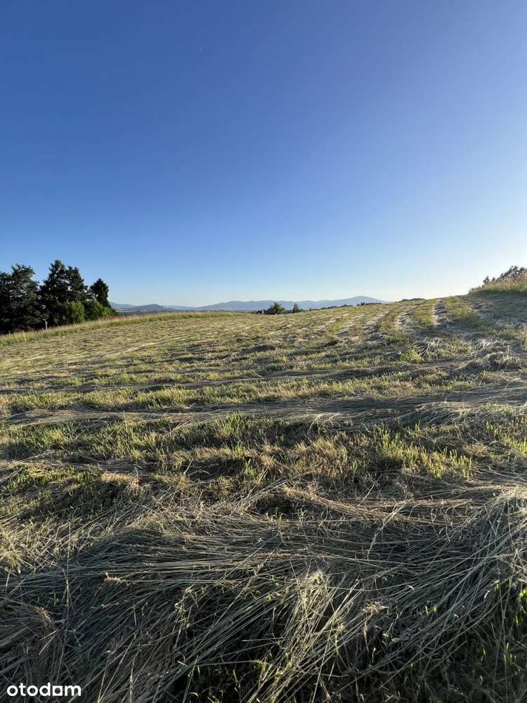 Widokowa działka budowlana w zacisznym miejscu - Pełny obrazek: 1/5