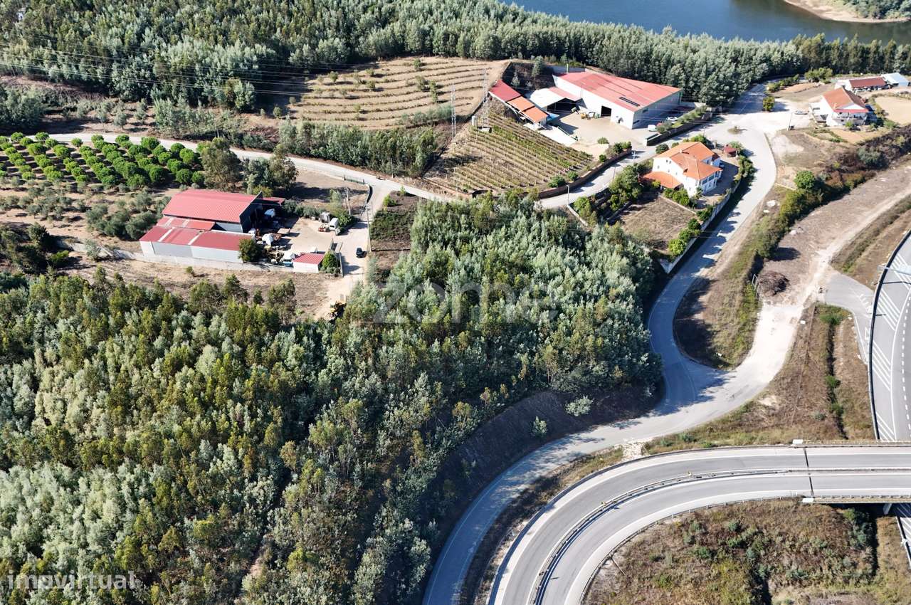 Terreno | Penacova | Porto da Raiva | 5984 m2 - Grande imagem: 4/16
