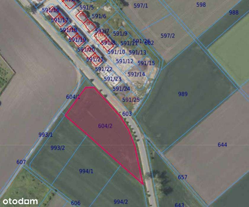 Działka dla Twojego biznesu | 12 minut od A4 | Przyłącze 100kw - Pełny obrazek: 4/5