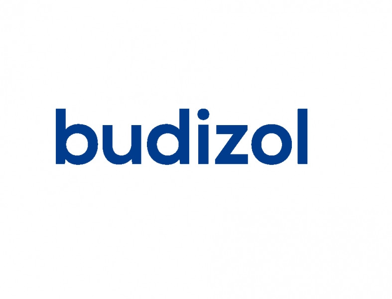 Budizol