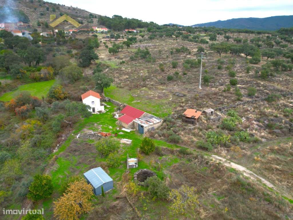 Quinta perto de Monsanto - Grande imagem: 4/37