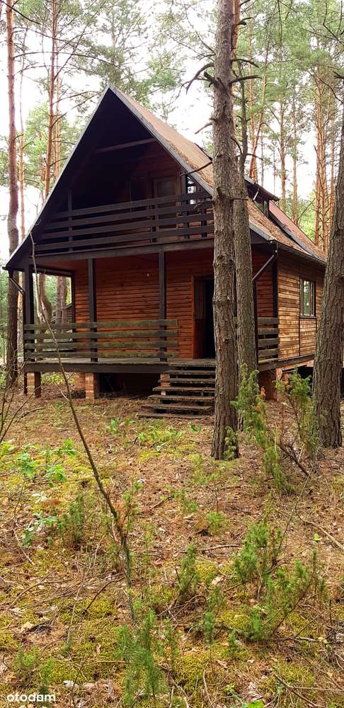 PIĘKNA DZIAŁKA LEŚNA 2199m Z MOŻLIWOŚCIĄ BUDOWY DOMU JEDNORODZINNEGO - Pełny obrazek: 2/16