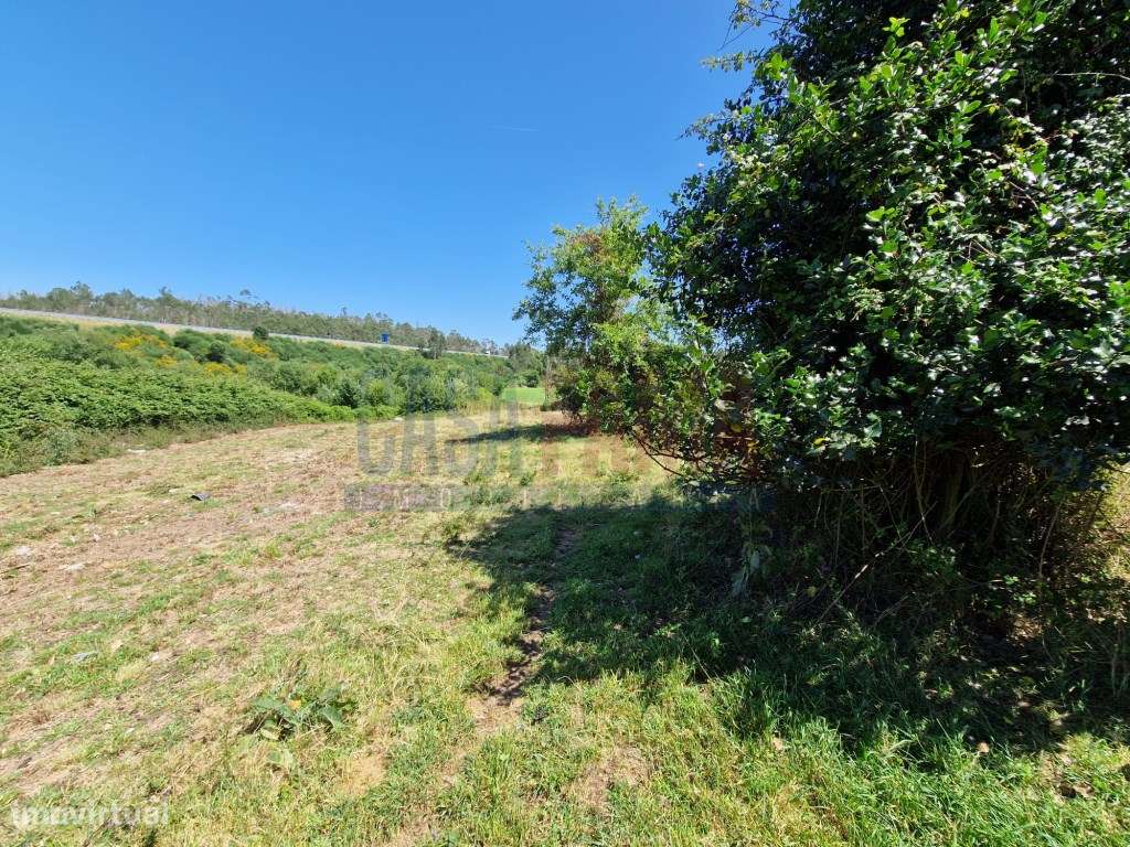 Terreno junqueira, Vila do Conde - Grande imagem: 4/19