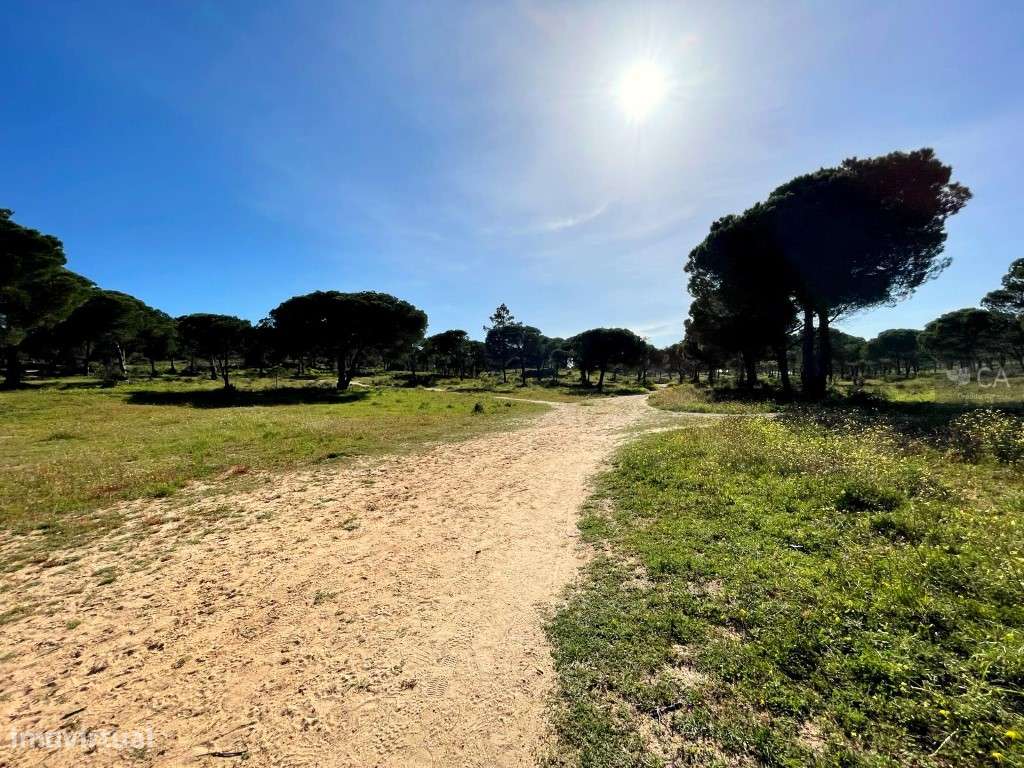 Terreno Misto com 10,4 ha em Vale Carro de Baixo, Albufeira-0