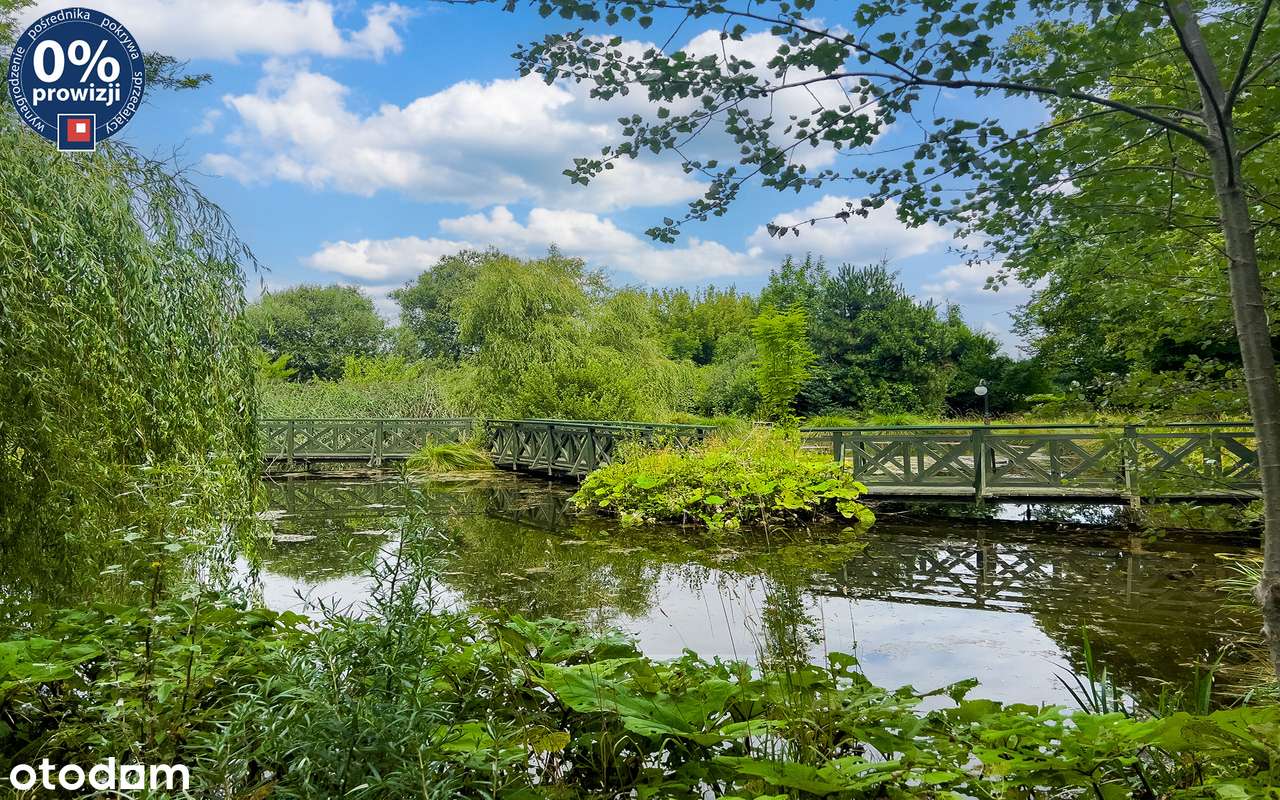 Prestiżowa rezydencja z basenem i zabytkowym parkiem | Cieszanowice.-15