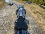 Harley-Davidson Softail - 16