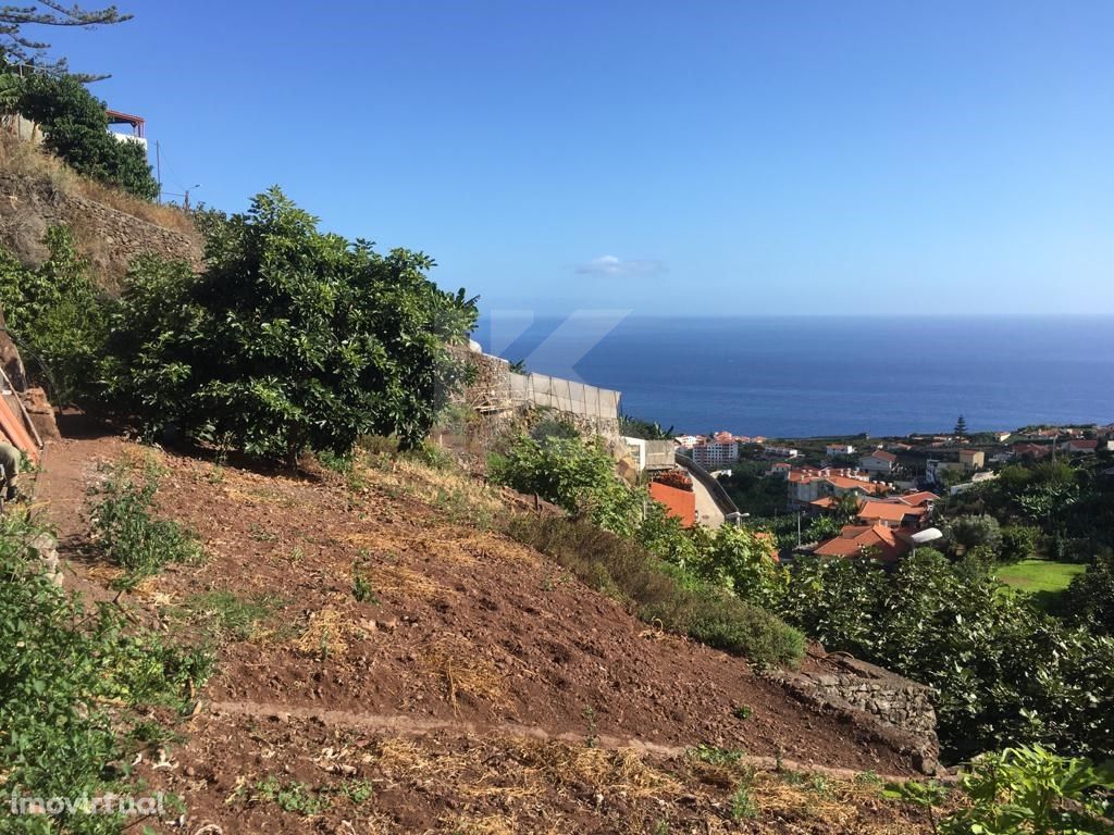 Terreno Localizado em Câmara de Lobos