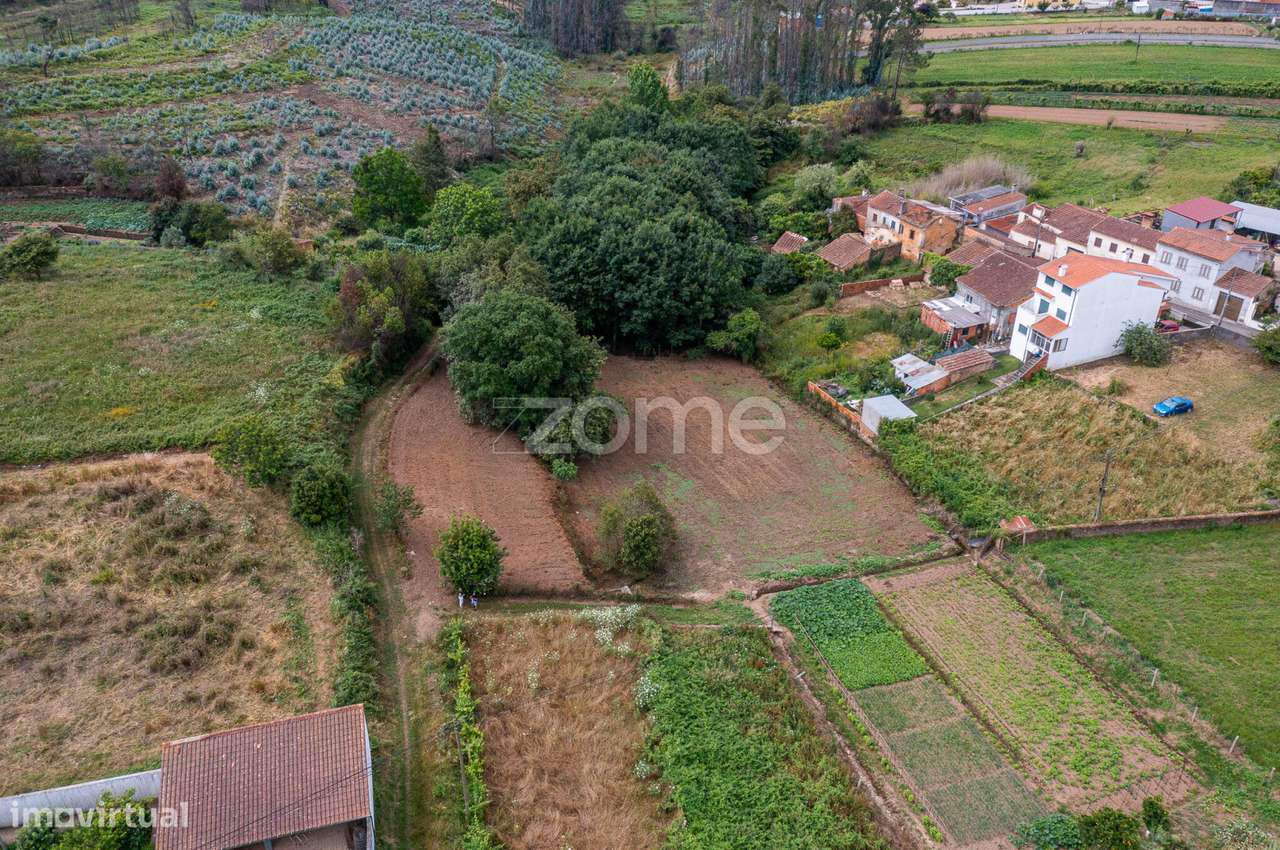 Terreno Urbano, em sobreiro, Albergaria a Velha - Grande imagem: 4/26