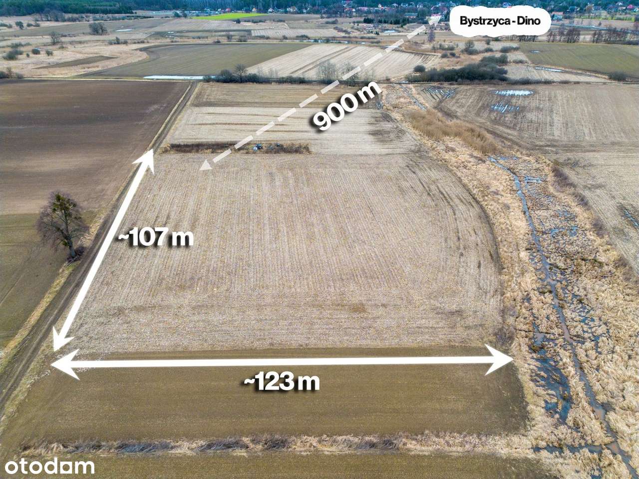 Działka Rolna 11 618 m2 pod Bystrzycą (Oława)-1