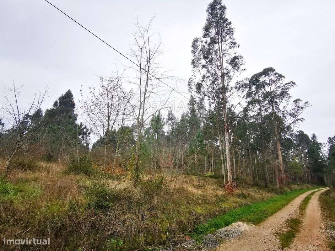 Terreno  para venda - Grande imagem: 2/6